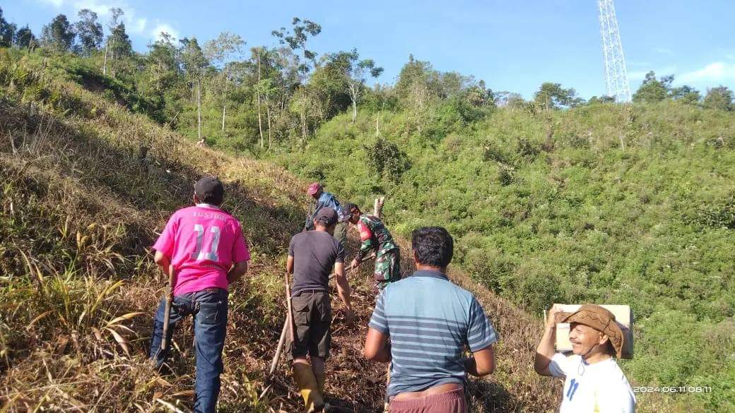 Dukung Penghijauan Di Wilayah Binaan, Babinsa Koramil Sumarorong Laksanakan Penanaman Pohon