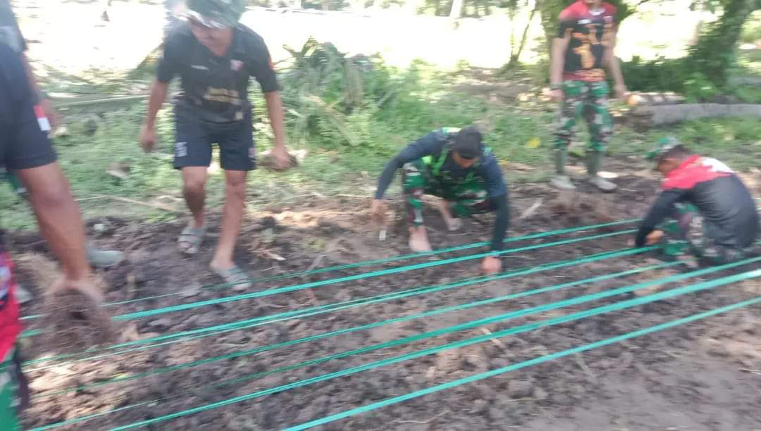 Dukung Ketahanan Pangan, Kodim 1418/Mamuju Kembangkan Budidaya Tanaman Stevia Di Mamuju