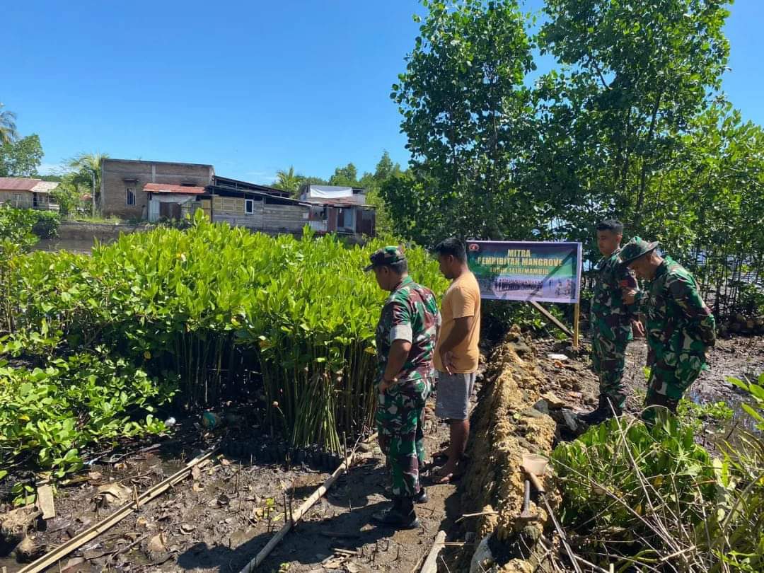 Dandim 1418/Mamuju Tinjau Pembibitan Mangrove di Desa Tadui