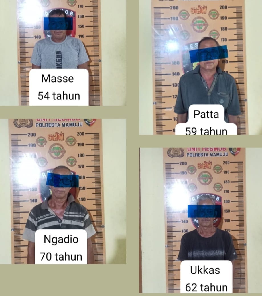 Satgas Gakkum Ops Sikat Polresta Mamuju Gerebek Praktek Judi Sabung Ayam