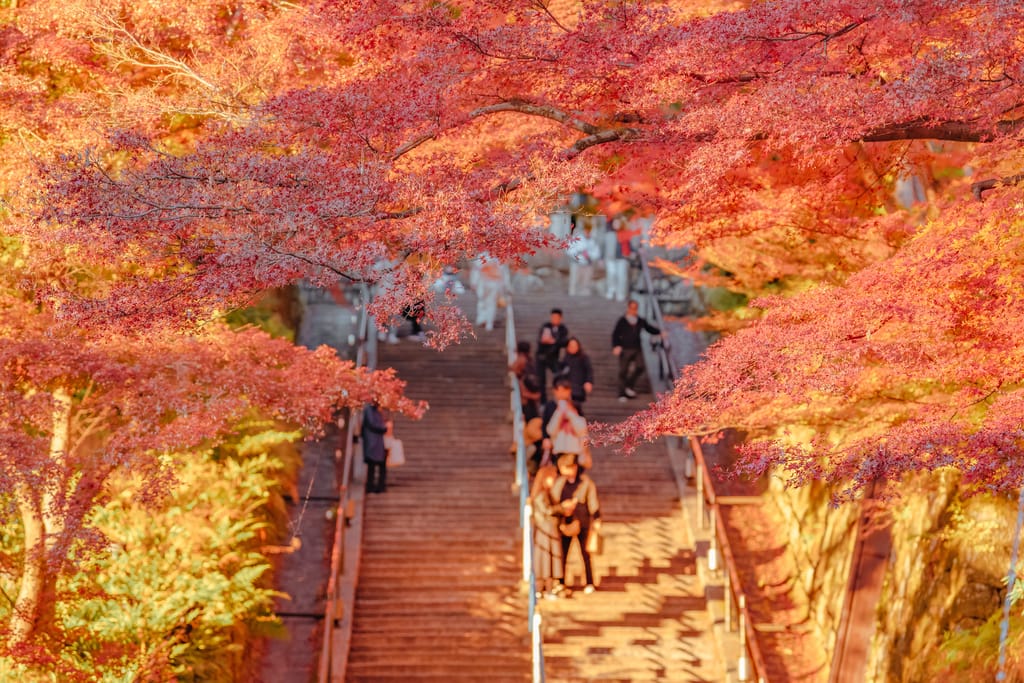 Destinasi Liburan Musim Gugur di Negeri Sakura