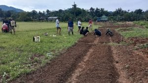 Karang Taruna Rantemario Kembali Adakan Gotong Royong Penanaman Bibit Sayuran