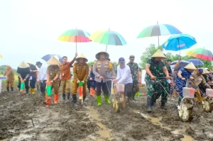 Penanaman Jagung Serentak di Kabupaten Jeneponto, Upaya Mendukung Ketahanan Pangan Nasional