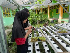 OSIS Pelihara Taman Hidroponik Sekolah