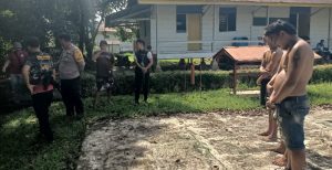 Tiga Terduga Pelaku Pencurian TBS Sawit Di PT Mul Diamankan Personel Polsek Tommo