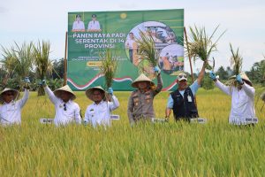 Dukung Ketahanan Pangan, Kapolres Luwu Hadiri Panen Padi Serentak