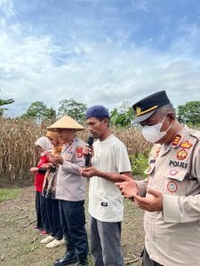 Panen Raya Bersama Polri: Polres Luwu Menyatu dengan Petani Demi Swasembada Pangan 2025