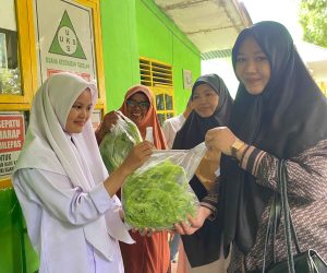 Penjualan Sayuran Hidroponik : Sumber Dana Kreatif OSIS
