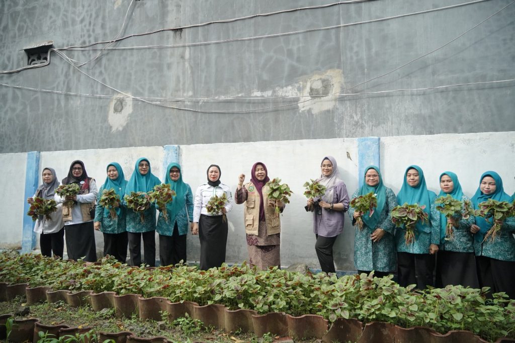 Ketua TP PKK Luwu Panen Perdana Sayur Bayam