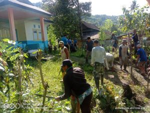 Kepala Desa Tapalinna Bersama Aparatnya Dan Masyarakat Bergotong Royong Bersihkan Rumput Jalan Dan lokasi Kantor Desa