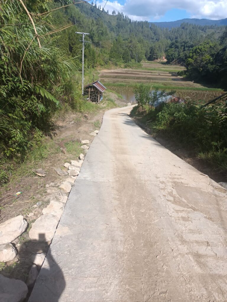 SAULINGGI KEPALA DESA TAWALIAN TIMUR BERSAMA MASYARAKATNYA MENGERJAKAN JALAN RABAT BETON DESA