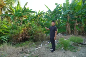 Langkah Cepat Pemkab Luwu, Hasmawati Warga Senga Selatan Segera Miliki Rumah Layak Huni