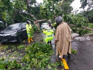 Aksi Cepat! Polres Tanjungbalai Amankan Pohon Tumbang di Jalan Sudirman