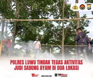 Polres Luwu Tindak Tegas Aktivitas Judi Sabung Ayam di Dua Lokasi