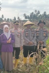 Dukung Swasembada Pangan, Polres Tanjungbalai Gelar Panen Raya Jagung