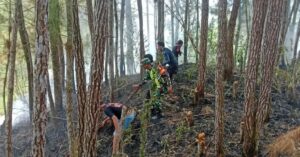 Babinsa Koramil 01/Mamasa Bersama Masyarakat Sigap Padamkan Api Kebakaran Hutan