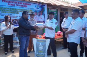 Bupati Mamasa Serahkan Bantuan Benih Ikan kepada beberapa Pokdakan di Kelurahan Tawalian