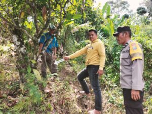 Tiga Ekor Sapi Milik Warga di Tapango Diduga Dicuri, Polisi Lakukan Olah TKP