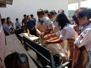 SMKS ARMA JAYA Sindagamanik: Praktek Pembuatan Pakan Lokal Untuk Ternak Babi Dan Praktek Penanganan Kesehatan Ternak