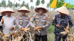 Dukung Program Asta Cita, Polres Tanjungbalai Sukses Gelar Panen Raya Jagung 6 Ton