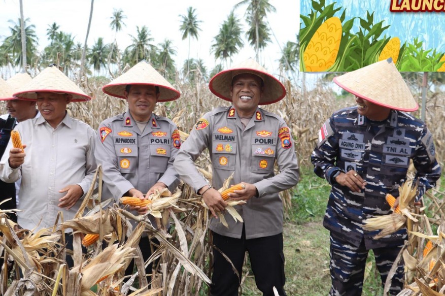 Dukung Program Asta Cita, Polres Tanjungbalai Sukses Gelar Panen Raya Jagung 6 Ton