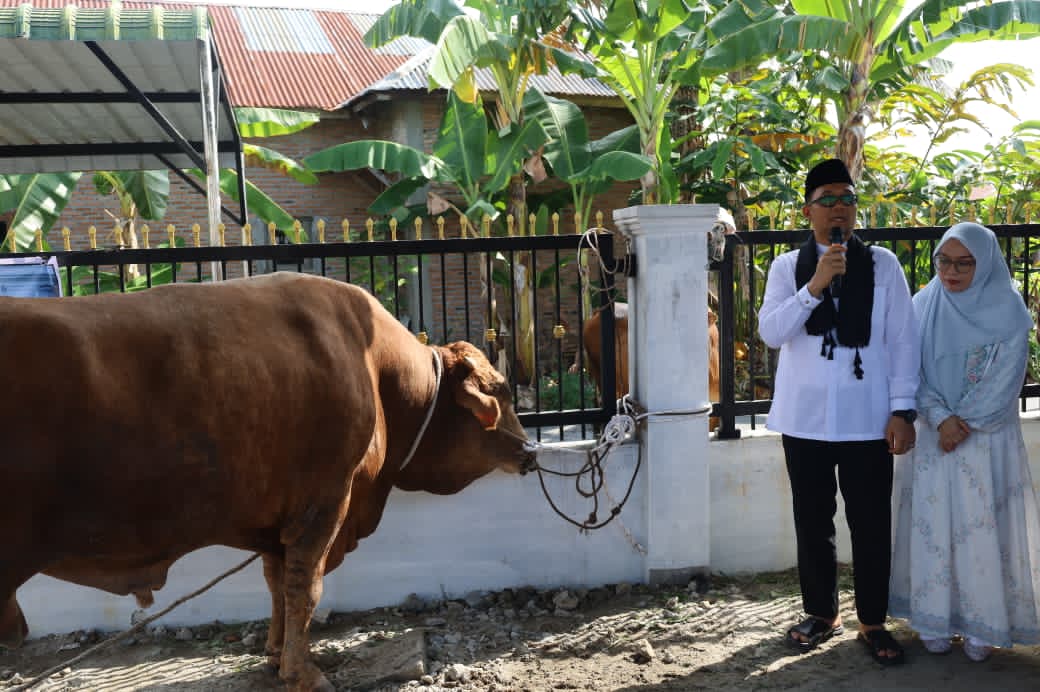 Pemkot Tanjungbalai Serahkan Bantuan Sapi Kurban Presiden di Masjid As Salamah