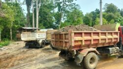 WARGA BANTAH ADA TAMBANG EMAS DI BAJO BARAT, SEBUT AKTIVITAS YANG TERLIHAT MERUPAKAN GALIAN C