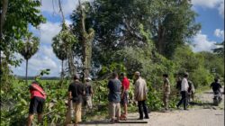 Tim Mannennungeng Bersama Warga Kajaolaliddong Laksanakan Gotong Royong Bersihkan Lingkungan Jalan Raya