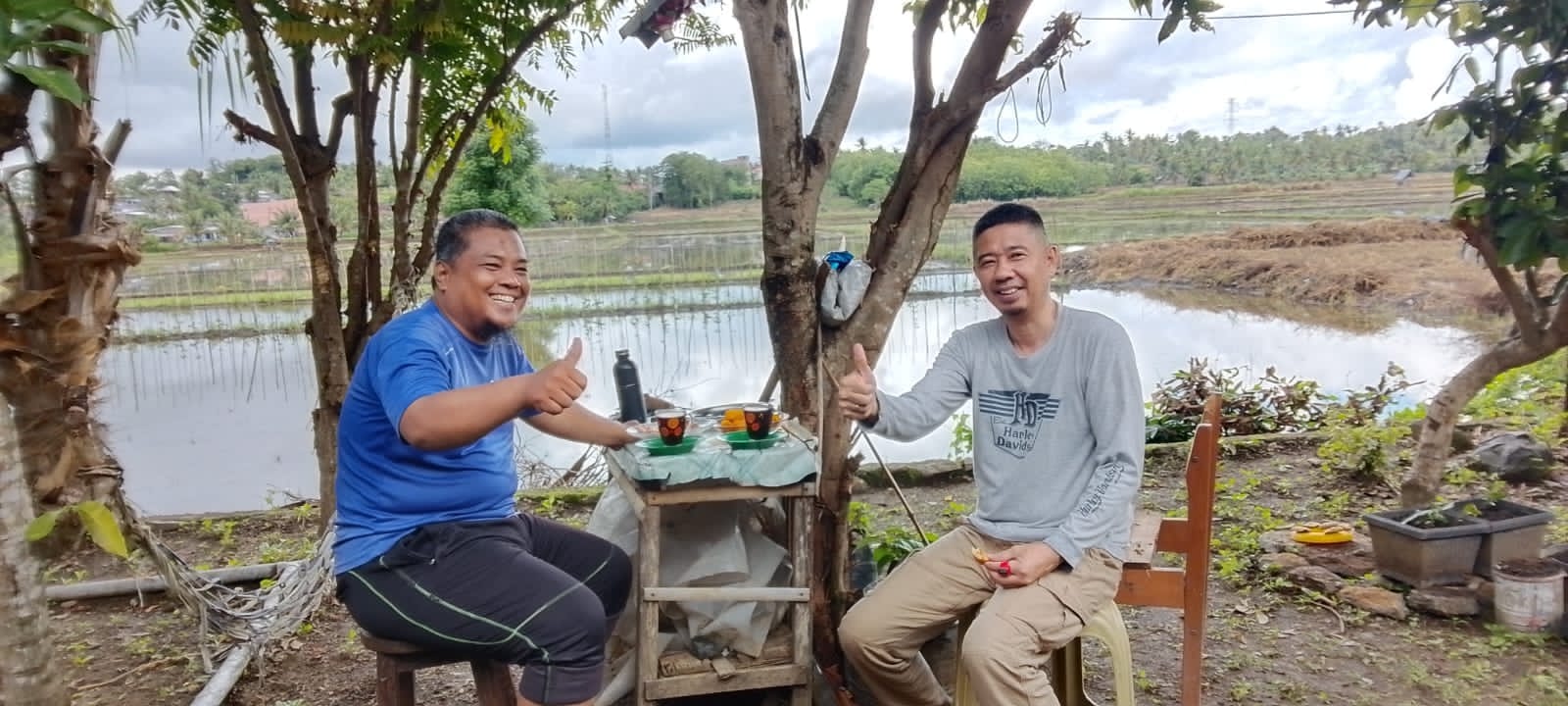 Inovasi “Wajo Green Pest”, Cairan Anti Rayap Ramah Lingkungan dari Limbah Ubi Khas Kabupaten Wajo