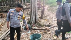 Polsek Tapalang Bubarkan Praktik Judi Sabung Ayam di Lereng Gunung, Pelaku Keburu Kabur