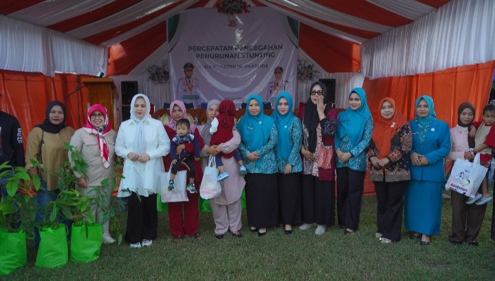 Wakil Gubernur Sulsel Ajak Semua Pihak Perangi Stunting, Bua Jadi Lokus Percepatan Penanganan