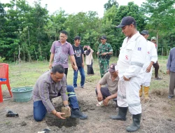 Bupati Luwu Tanam Perdana Aren Genjah, Dorong Pengembangan Komoditas Bernilai Ekonomi Tinggi