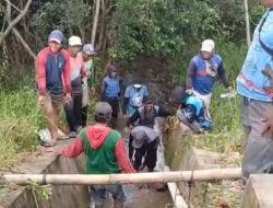 Atasi Kekeringan, Bupati Wajo Operasikan Pompa Irigasi, 20 Hektare Sawah Terairi