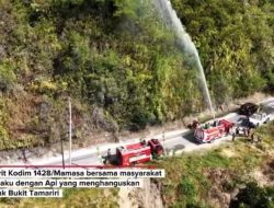 Gerak Cepat, Personel Kodim 1428/Mamasa Padamkan Kebakaran Hutan
