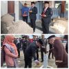 Peringati HUT ke-81 RI, Bupati Wajo Bersama Forkopimda Ziarah ke TMP Empagae dan Makam La Maddukkelleng