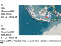 Gempa M 7,7 Guncang Flores, BMKG Keluarkan Peringatan Dini Tsunami