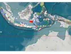 BMKG: Gempa M7,7 NTT Dipicu Sesar Naik Busur Belakang Flores