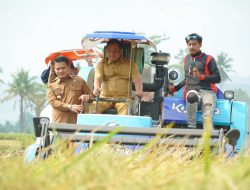Panen Perdana Demplot VUB, Pemkab Luwu Perkuat Dukungan untuk Petani