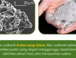 Bukan Satu, Tapi Dua Klaster! BMKG Rilis Peta Sebaran Abu Vulkanik Anak Krakatau