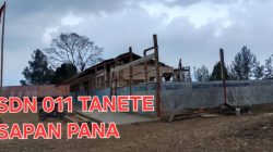 SDN 011 Sapan Hancur Tertimpa Pohon Tumbang, Belum Pulih Hingga 10 Bulan