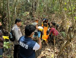 Petani 75 Tahun Ditemukan Meninggal di Tengah Kebun, Polres Polman Lakukan Olah TKP