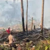 Udara Mamuju Berasap, BPBD Sulbar Ingatkan Bahaya Polutan bagi Anak, Lansia dan Ibu Hamil