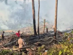 Udara Mamuju Berasap, BPBD Sulbar Ingatkan Bahaya Polutan bagi Anak, Lansia dan Ibu Hamil